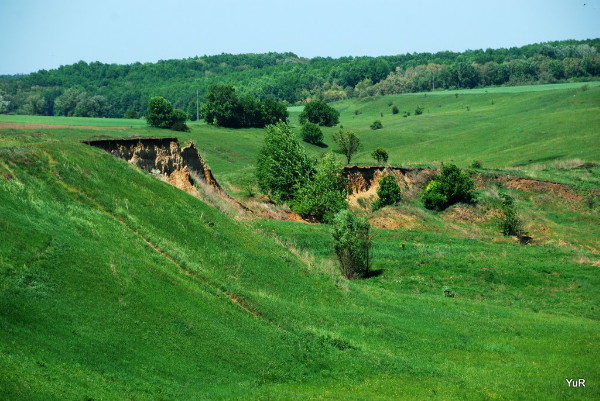 Image - Poltava region in the vicinity of Opishnia.